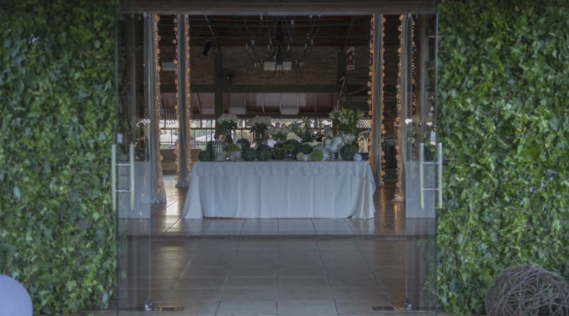 Pared follaje verde - NOI Decoraciones