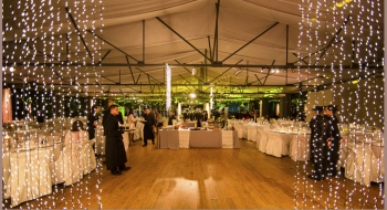 Cortinas de luces 2x3 mts - NOI Decoraciones