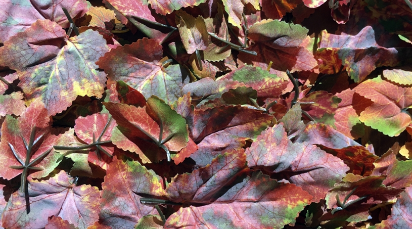 Empresariales - NOI Decoraciones