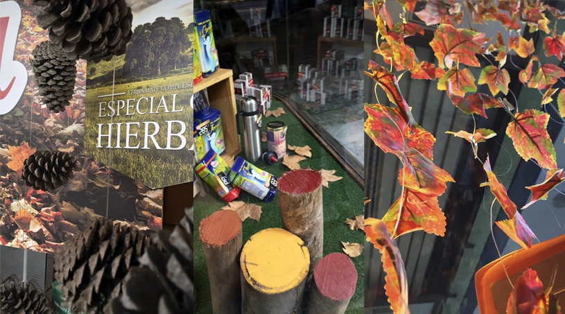 Empresariales - NOI Decoraciones