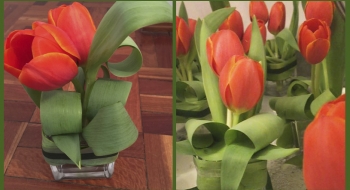 Fiestas Empresariales - NOI Decoraciones